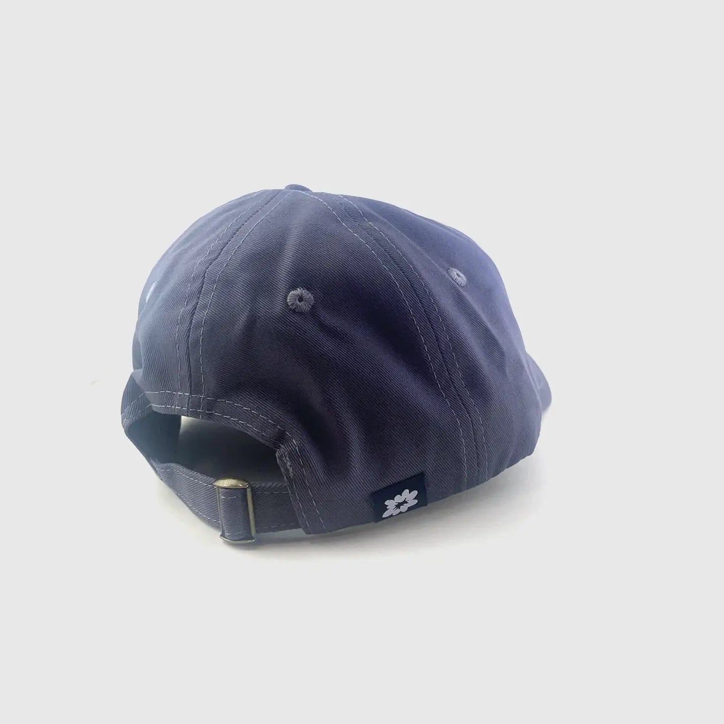 Brainwashed Dad Hat