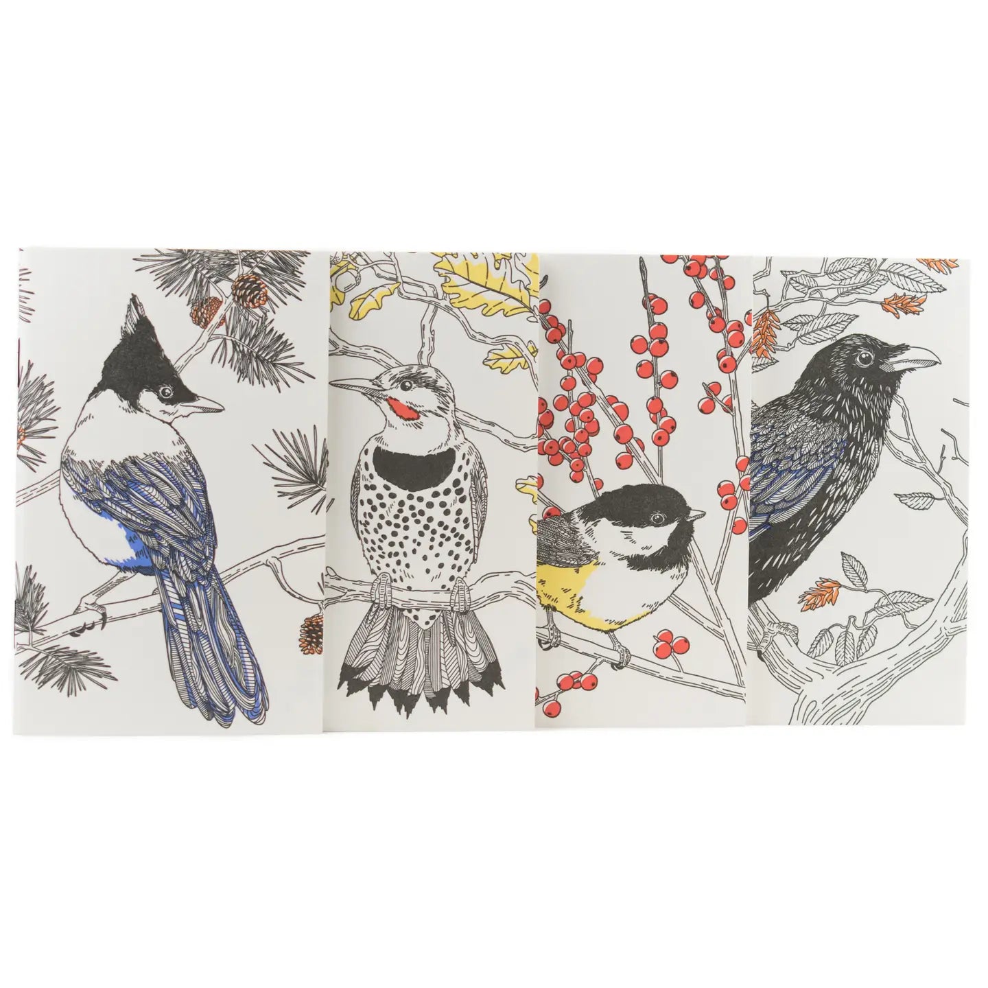 Steller's Jay Nature Birds Series - Pocket Notebook