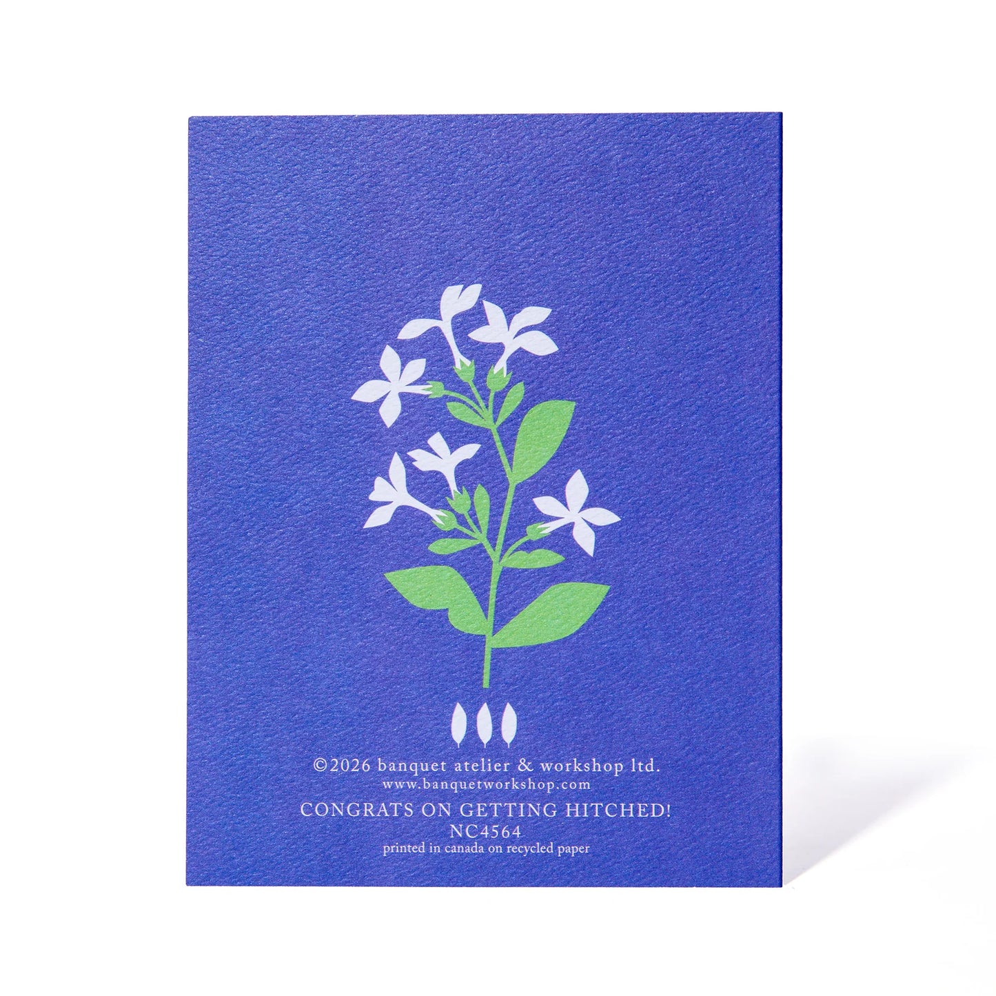 Congrats on Getting Hitched Wedding Card