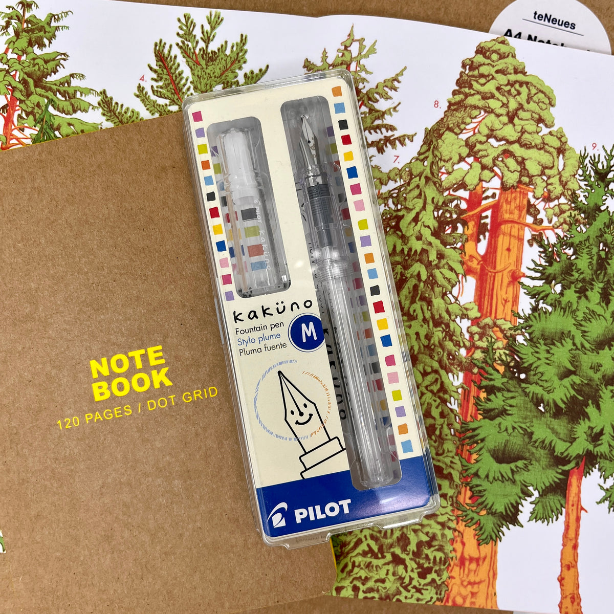 Kakuno Fountain Pen - Medium - Clear