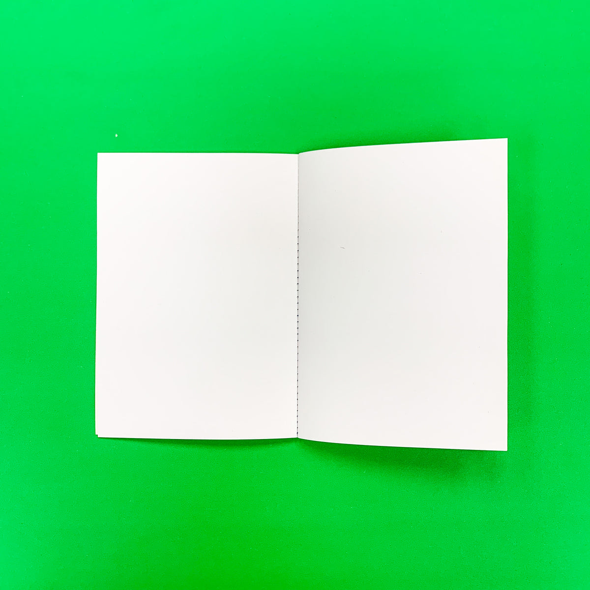 Peps and Tomates Notebook