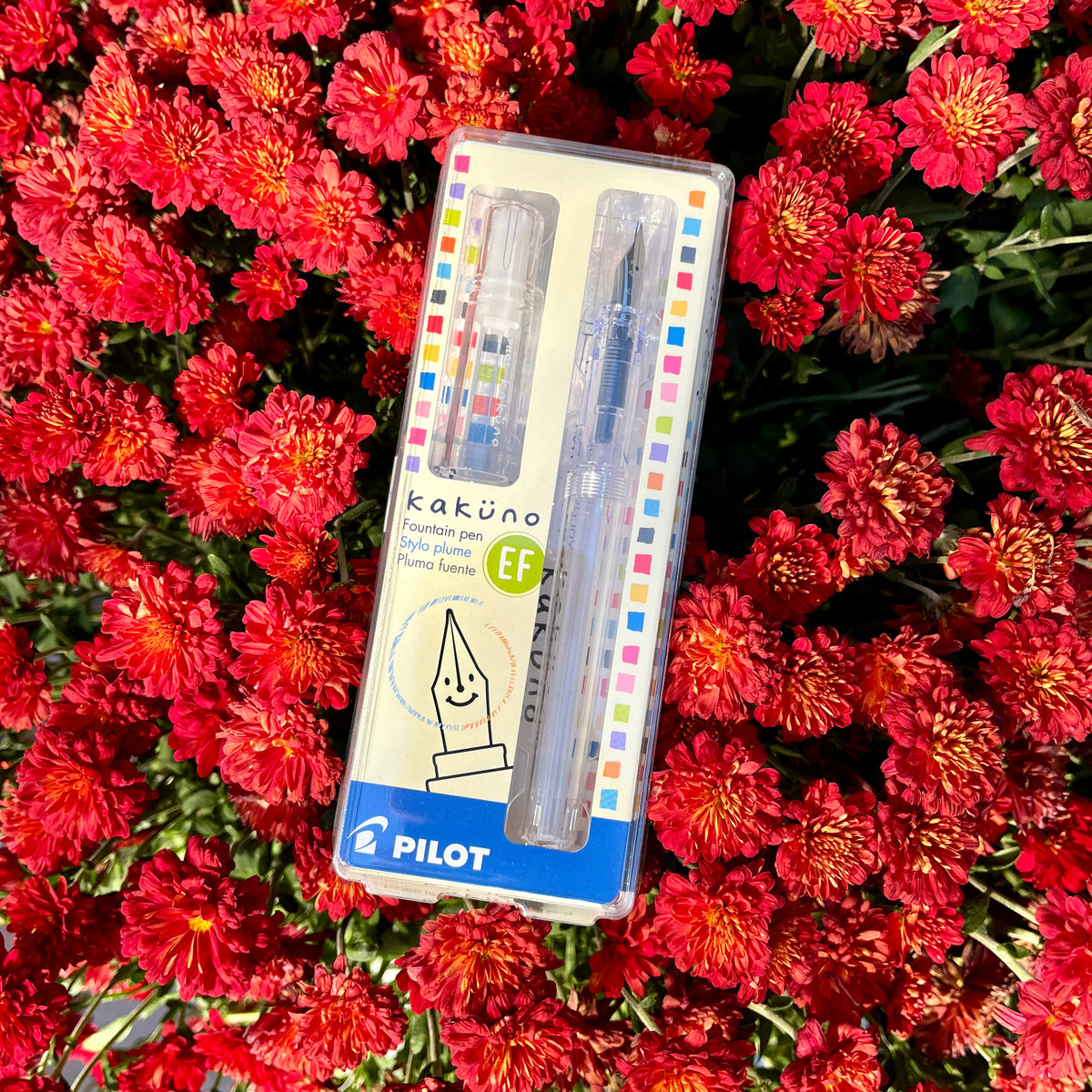 Kakuno Fountain Pen - Extra Fine - Clear