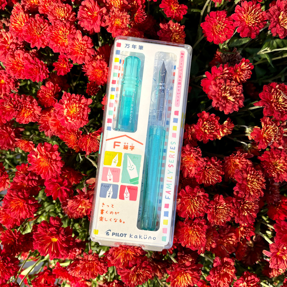 Kakuno Fountain Pen - Fine - Clear Green