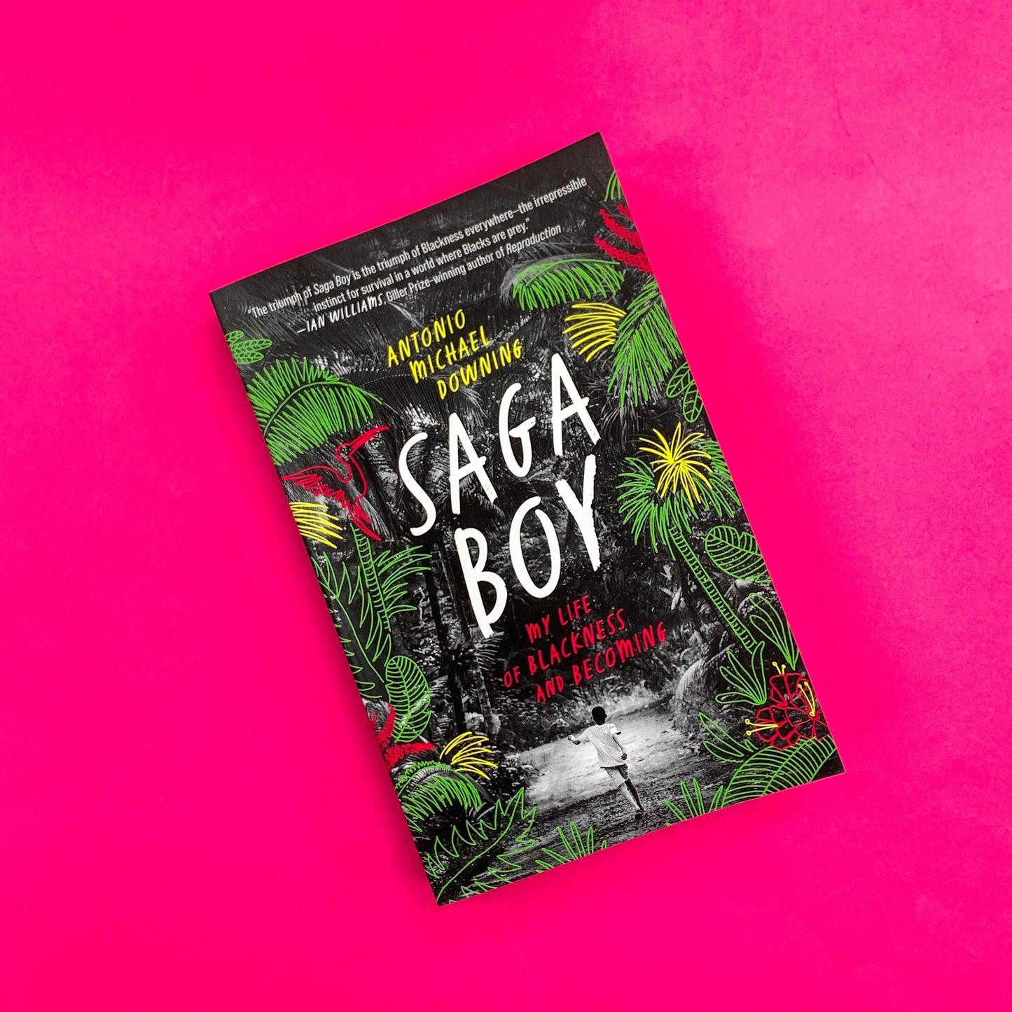 Saga Boy: My Life of Blackness and Becoming