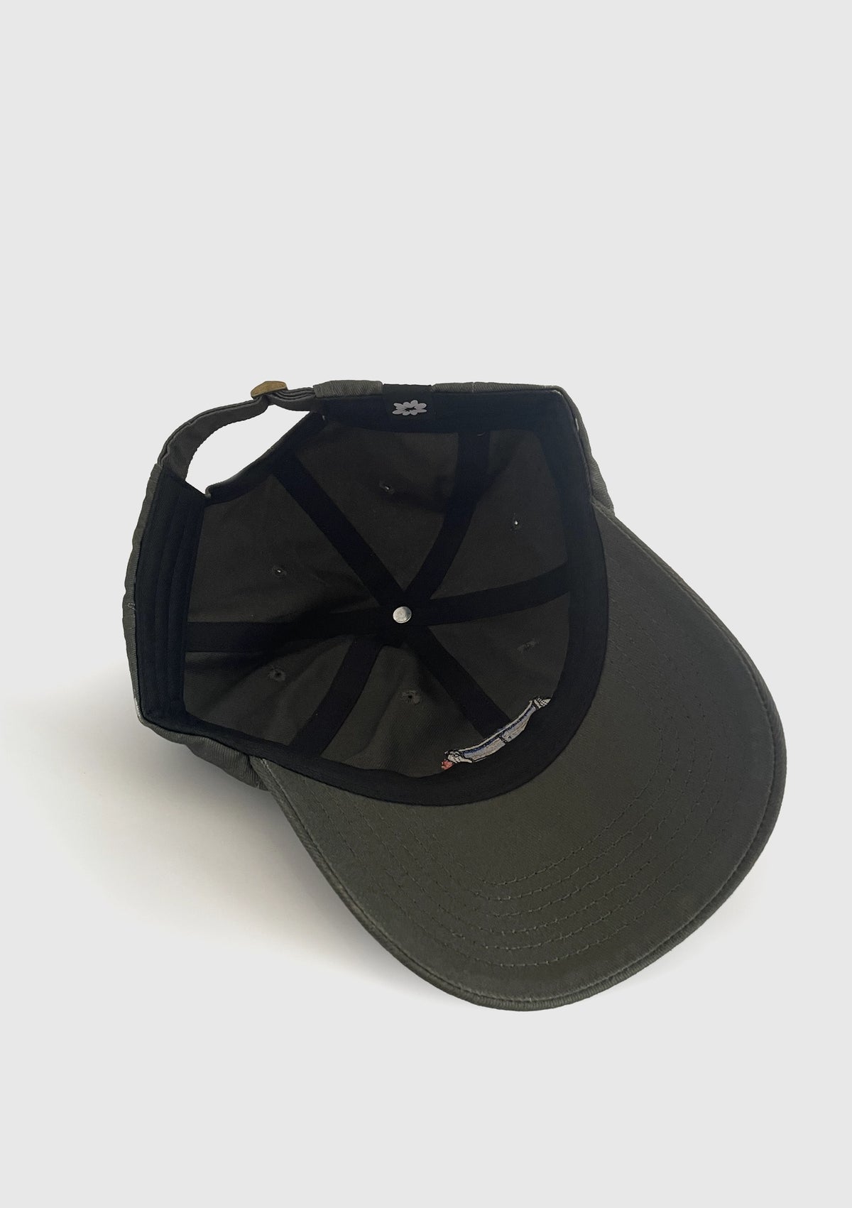 Inside Out Dad Hat