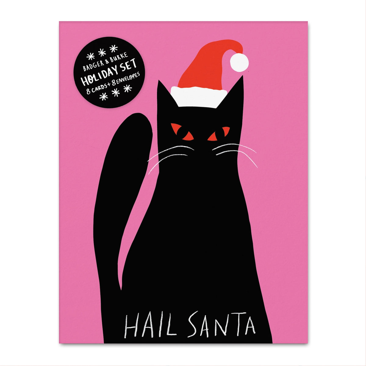 Hail Santa - Holiday Greeting Card