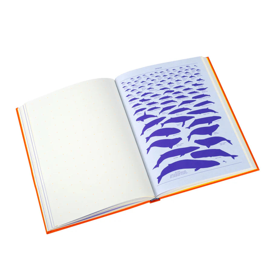 Grids & Guides Orange - A Notebook for Visual Thinkers