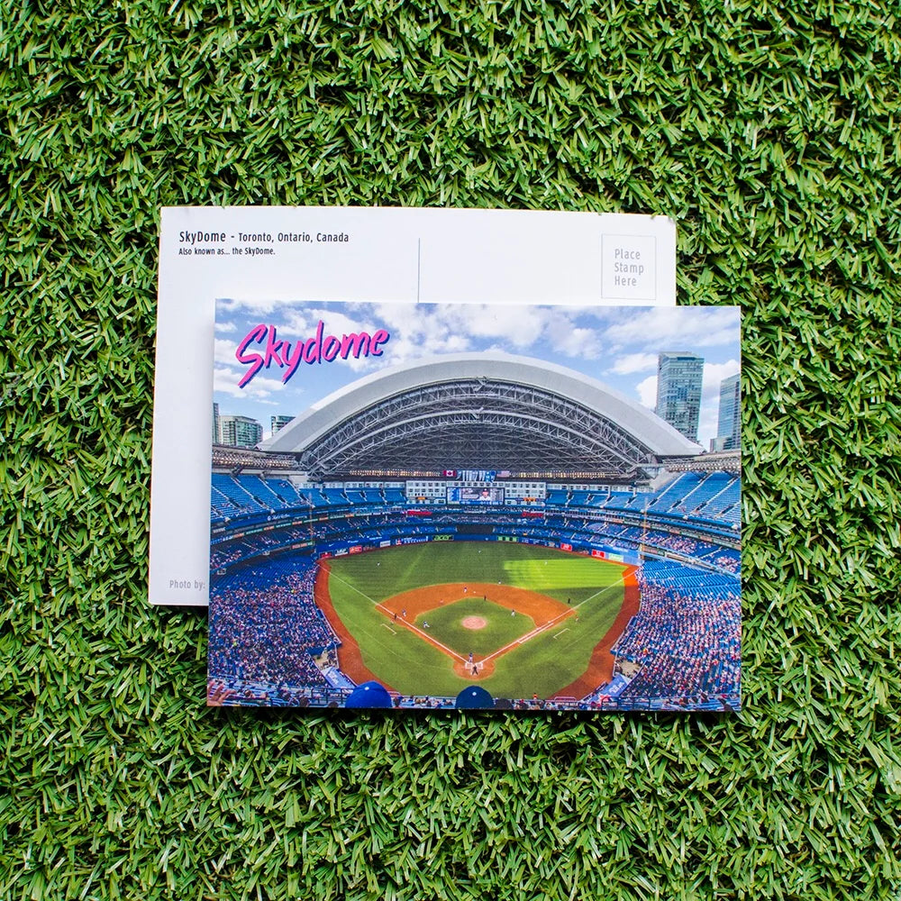 Blue Jay Dome Open Postcard