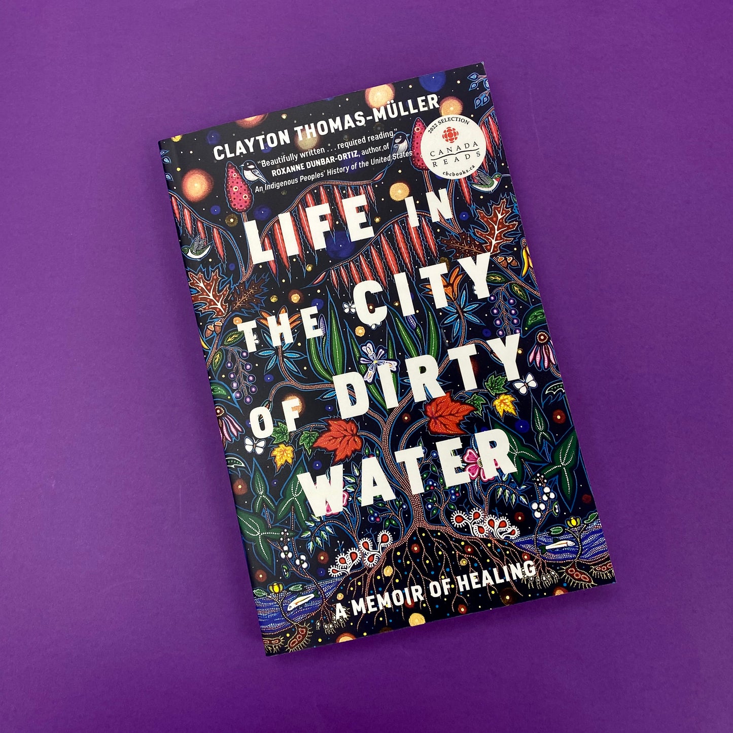 Life in the City of Dirty Water: A Memoir of Healing