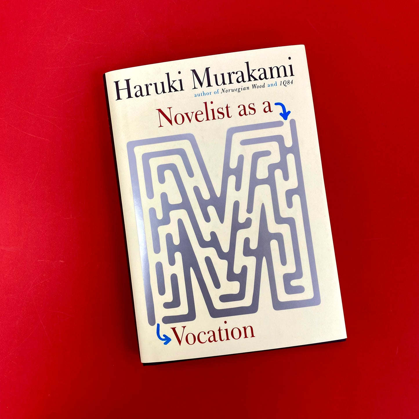 Novelist as a Vocation