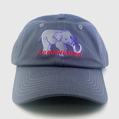 Brainwashed Dad Hat