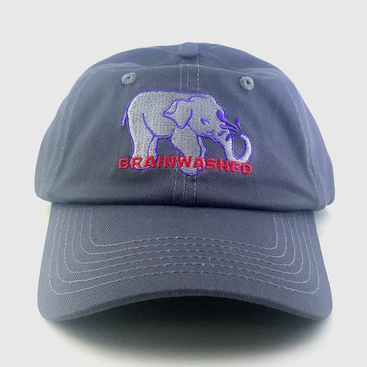 Brainwashed Dad Hat