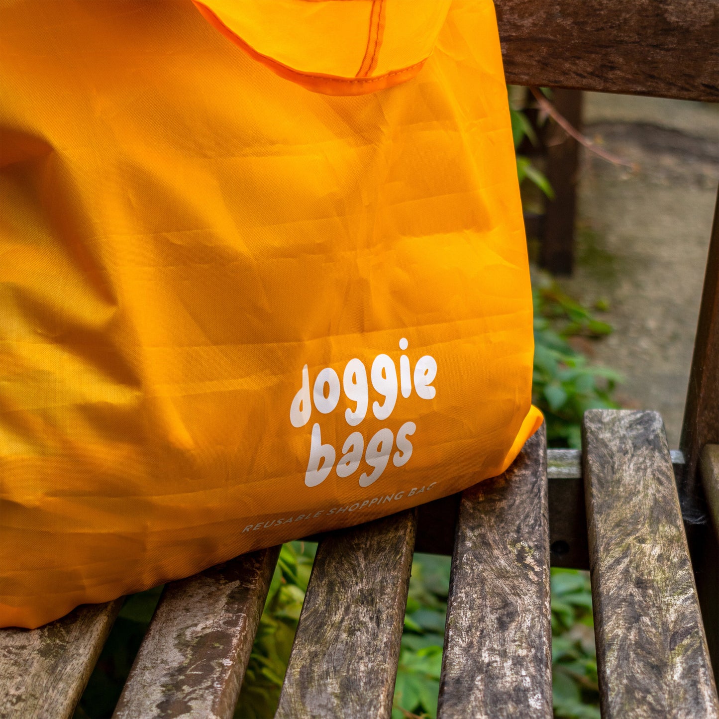 Doggie Bag