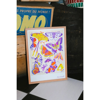 Butterflies (Papillons) by Manon Bucciarelli Risograph A3 Print