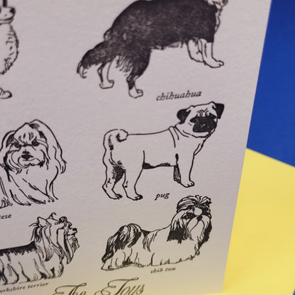 Toy Dogs Greeting Card