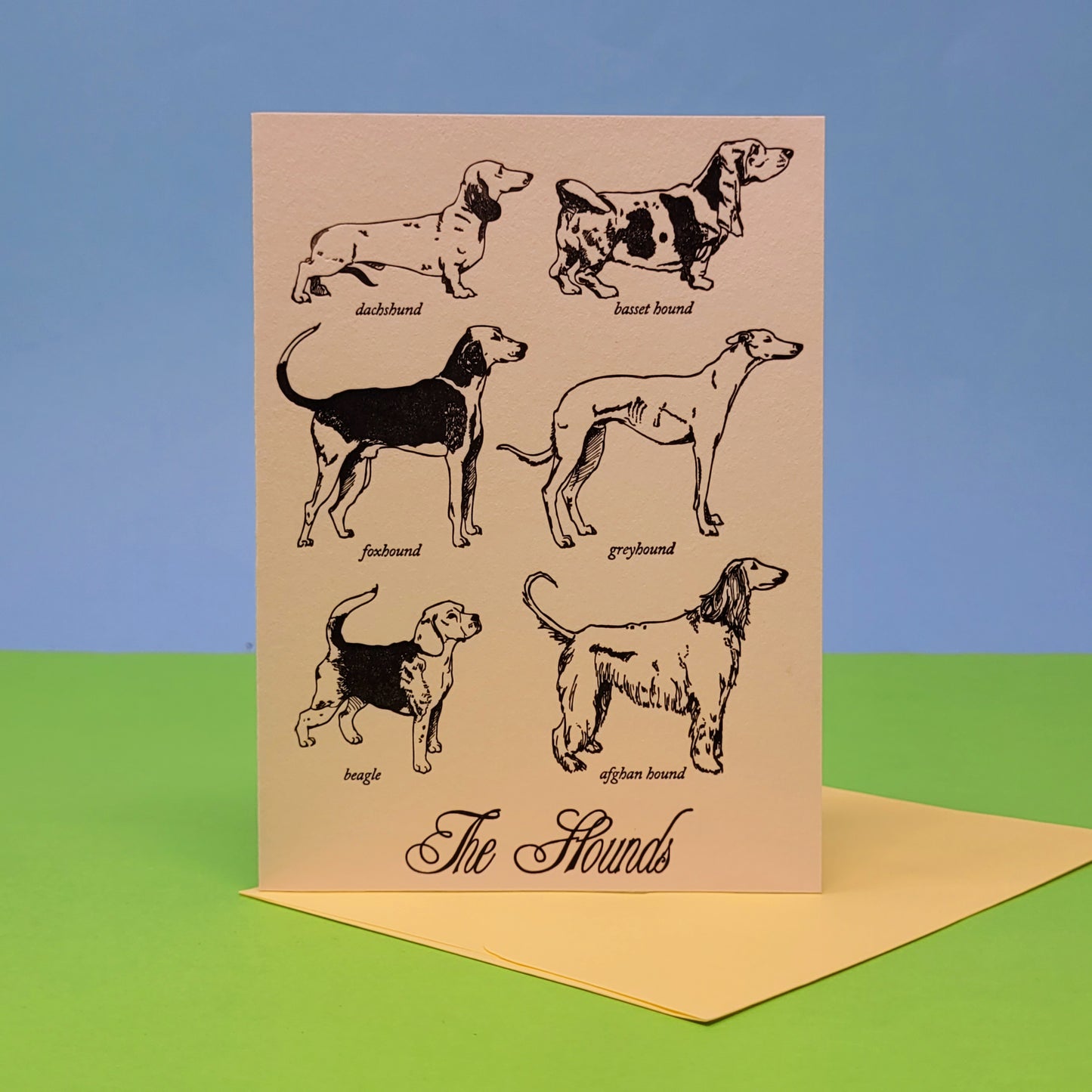 Hound Dogs Greeting Card