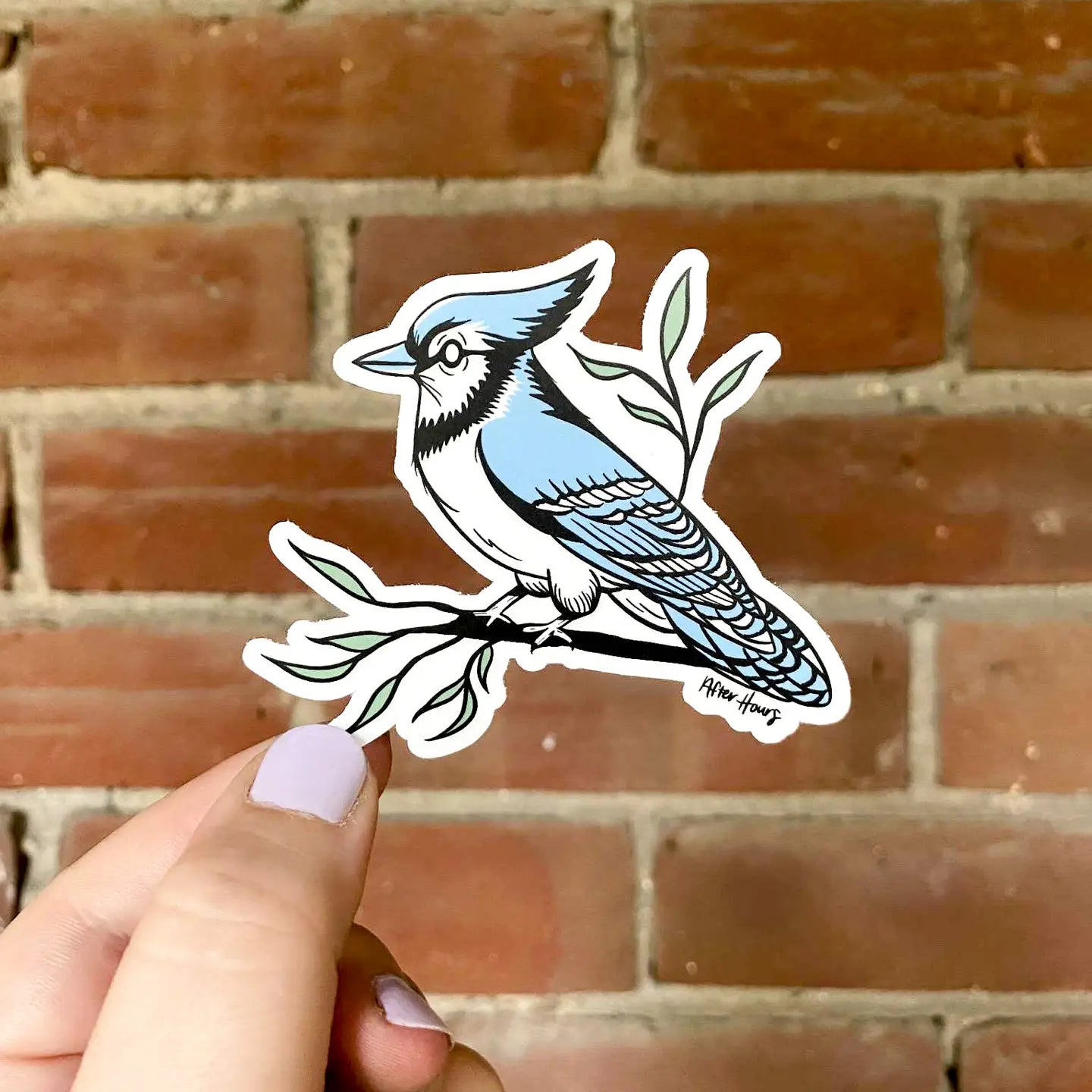 Blue Jays - Sticker