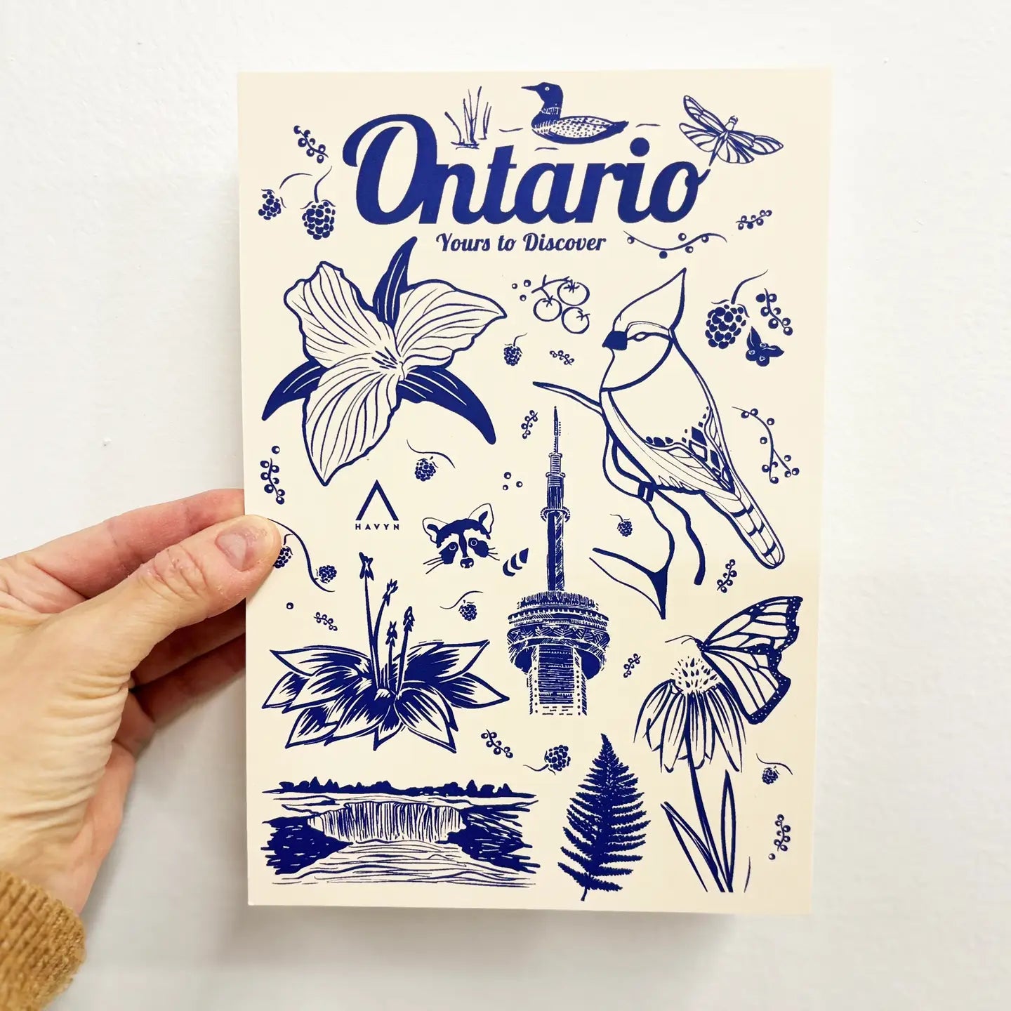 Ontario Canada Symbols 6x9 Postcard
