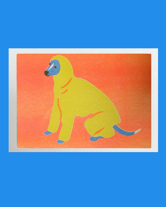 Italian Greyhound Snowsuit Mini Print