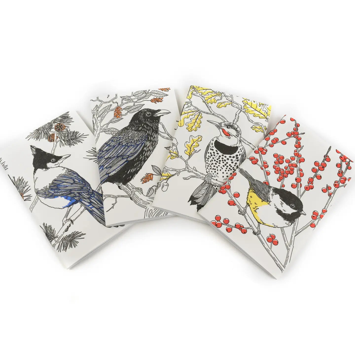 Black-Capped Chickadee Pocket Notebook