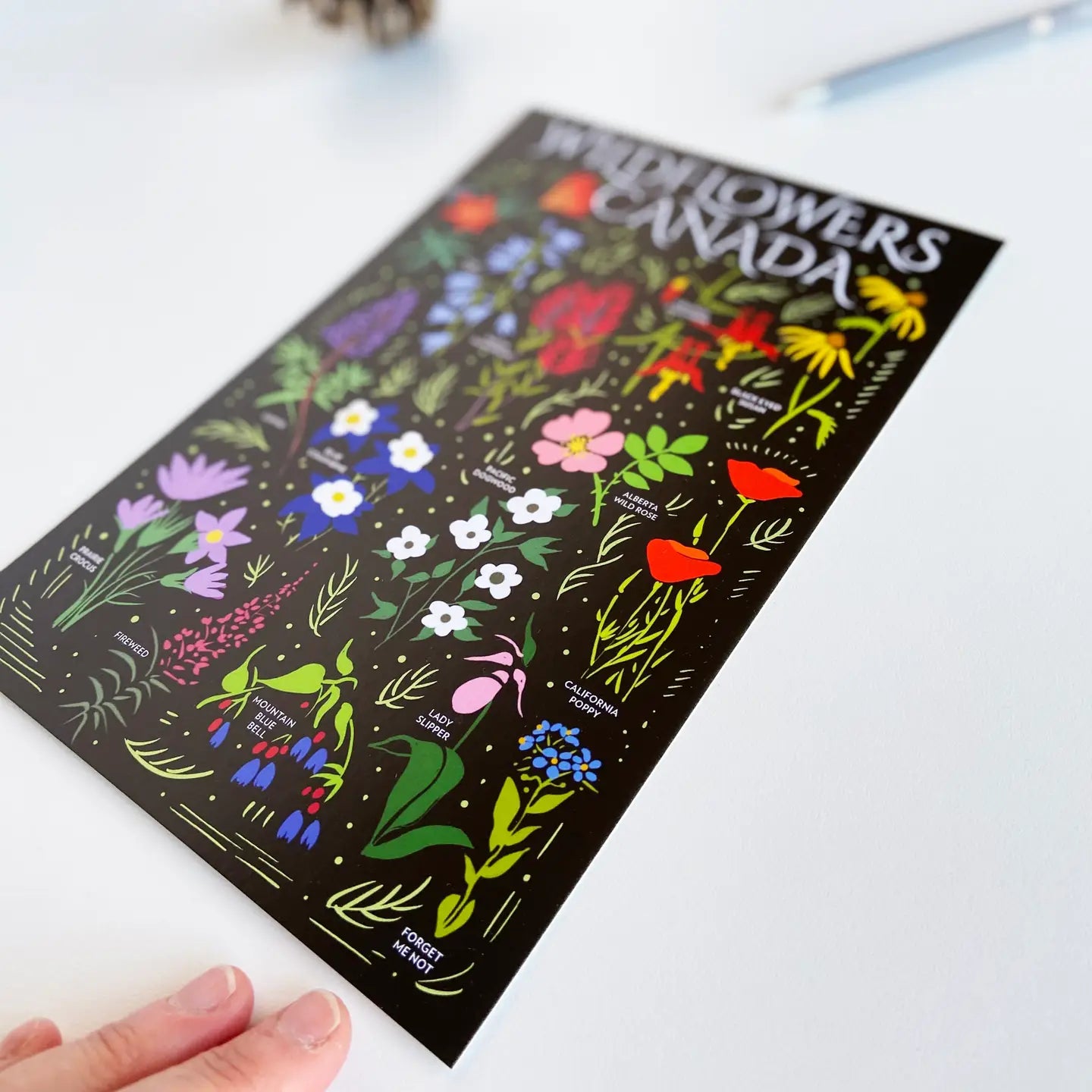 Wildflowers Canada 6x9 Postcard
