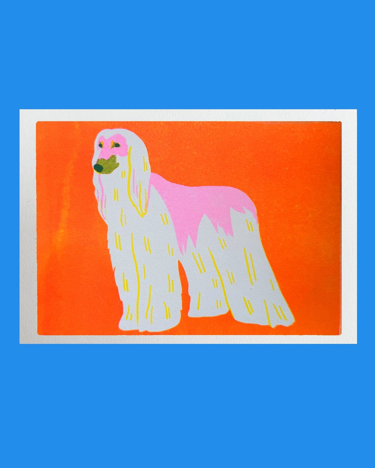 Afghan Hound Mini Print