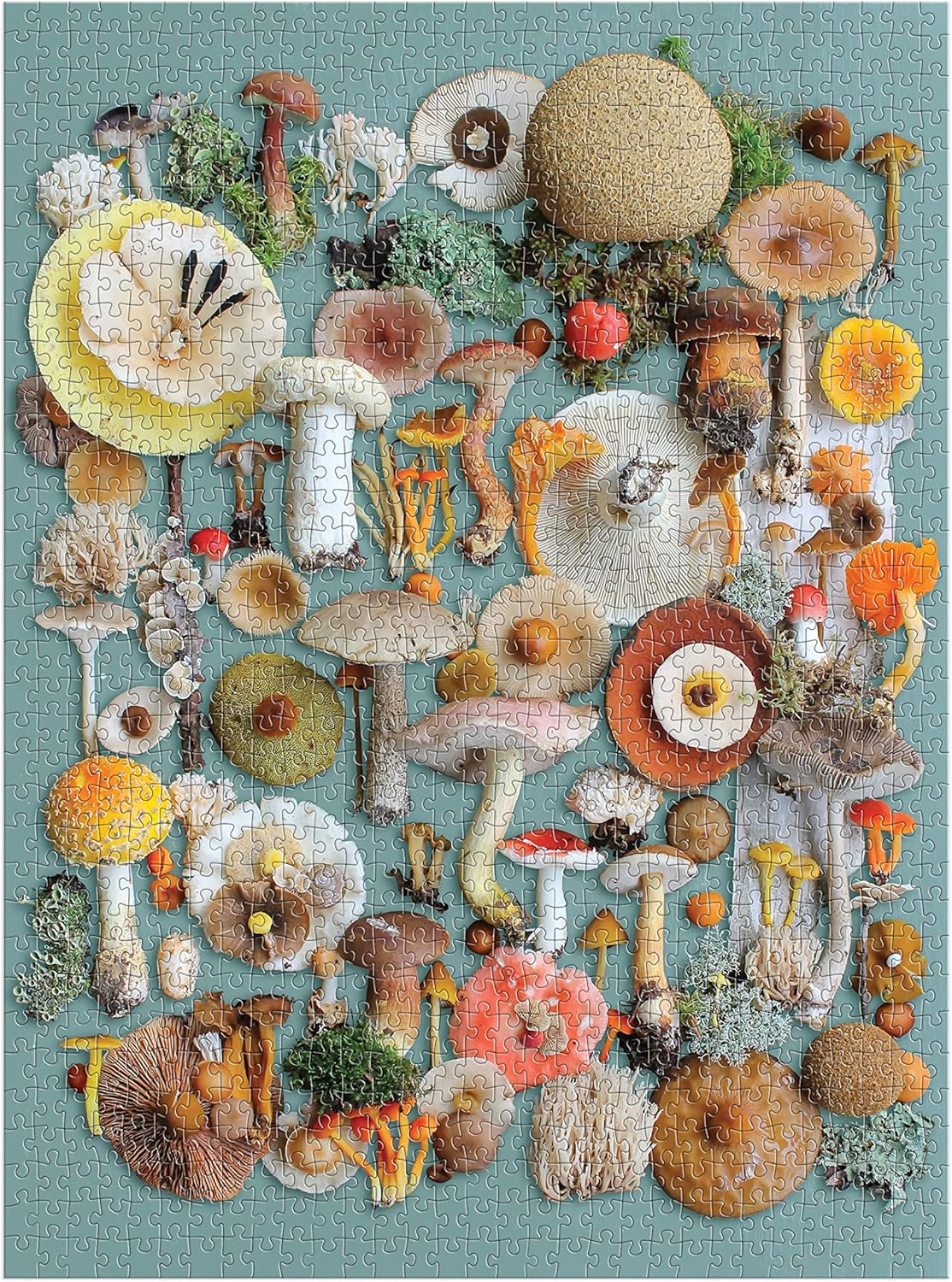 Foraged 1000 Piece Puzzle