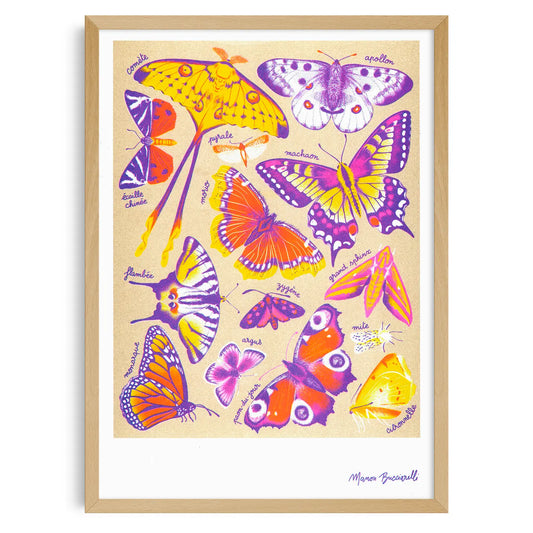 Butterflies (Papillons) by Manon Bucciarelli Risograph A3 Print