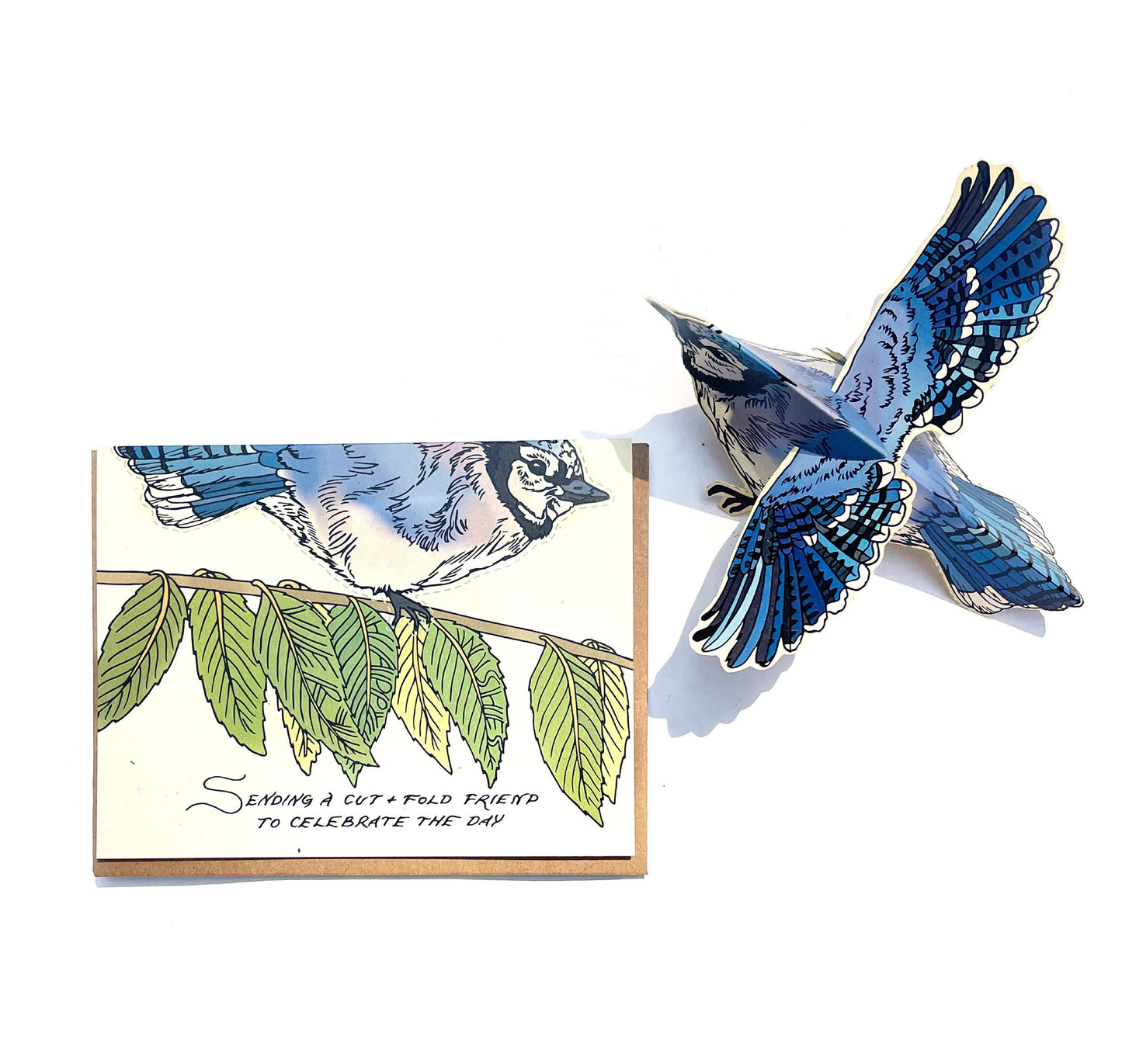 Cut and Fold Craft Card - Blue Jay