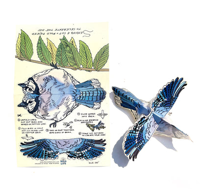 Cut and Fold Craft Card - Blue Jay