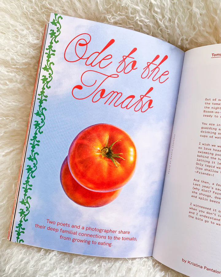 FEELS Zine #25: Hunger