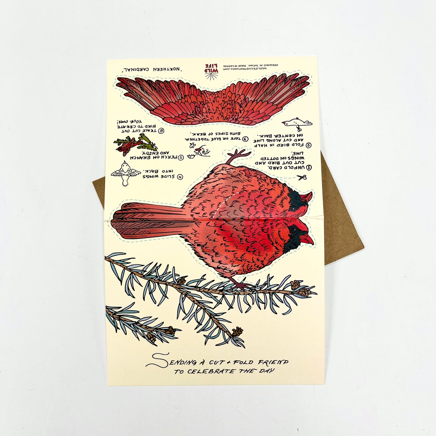 Cut and Fold Craft Card - Cardinal