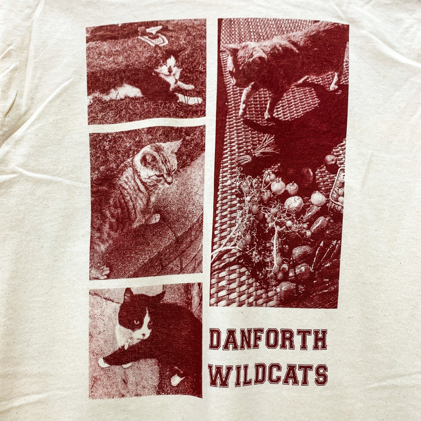 Danforth Wildcats 2.0 Tee