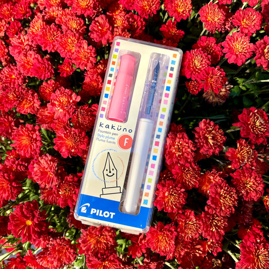 Kakuno Fountain Pen - Fine - Pale Pink