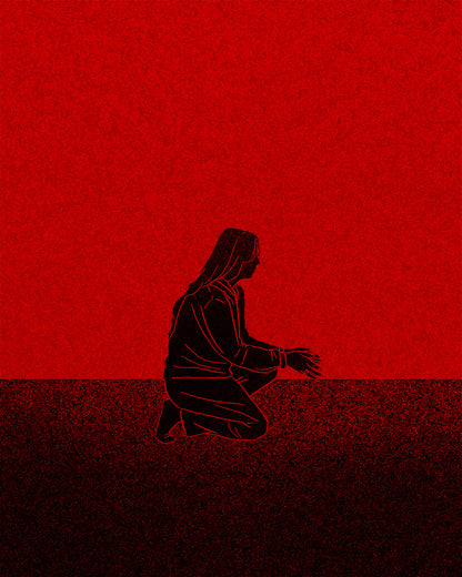 THE RED KINGDOM Zine