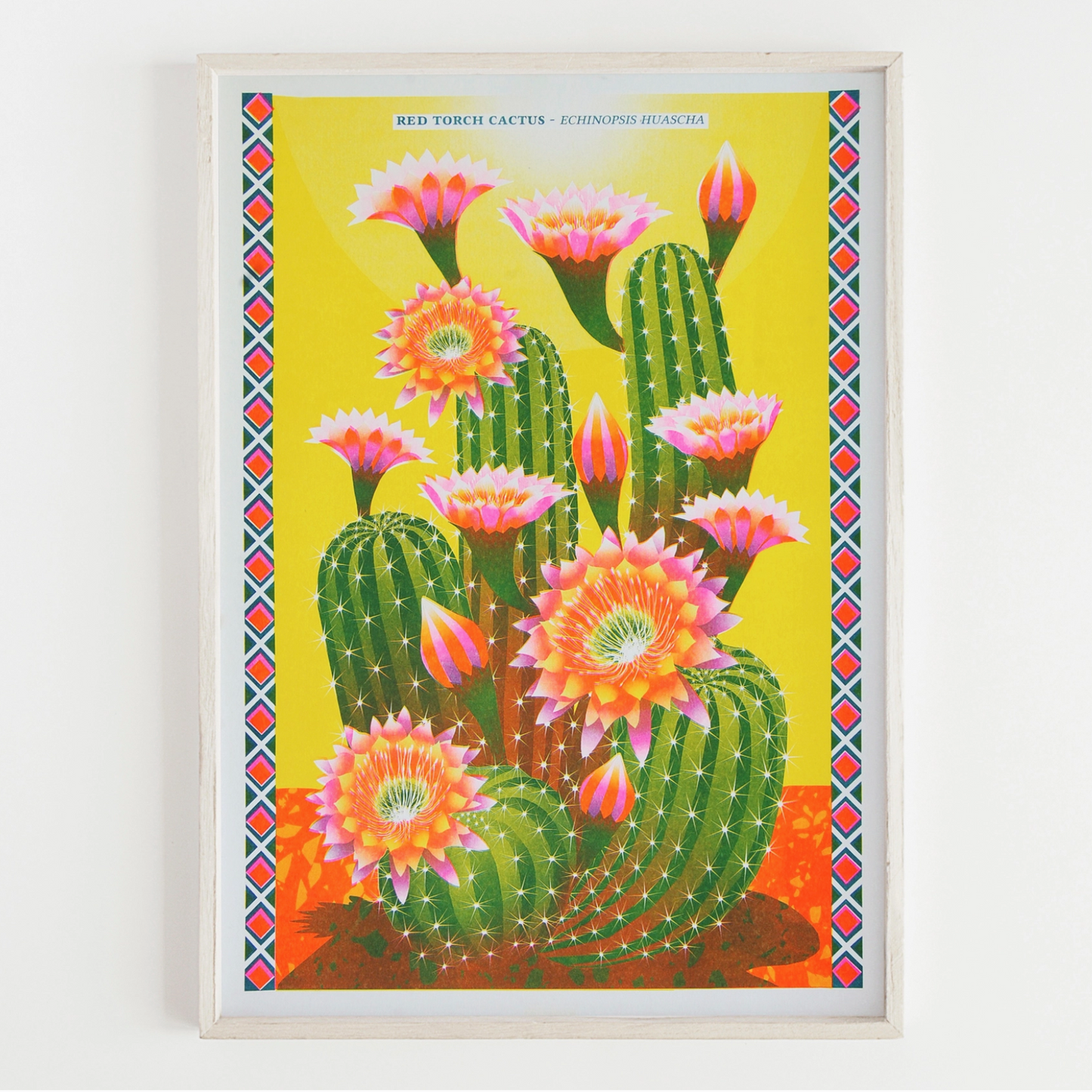 Cactus - A3 Risograph Print