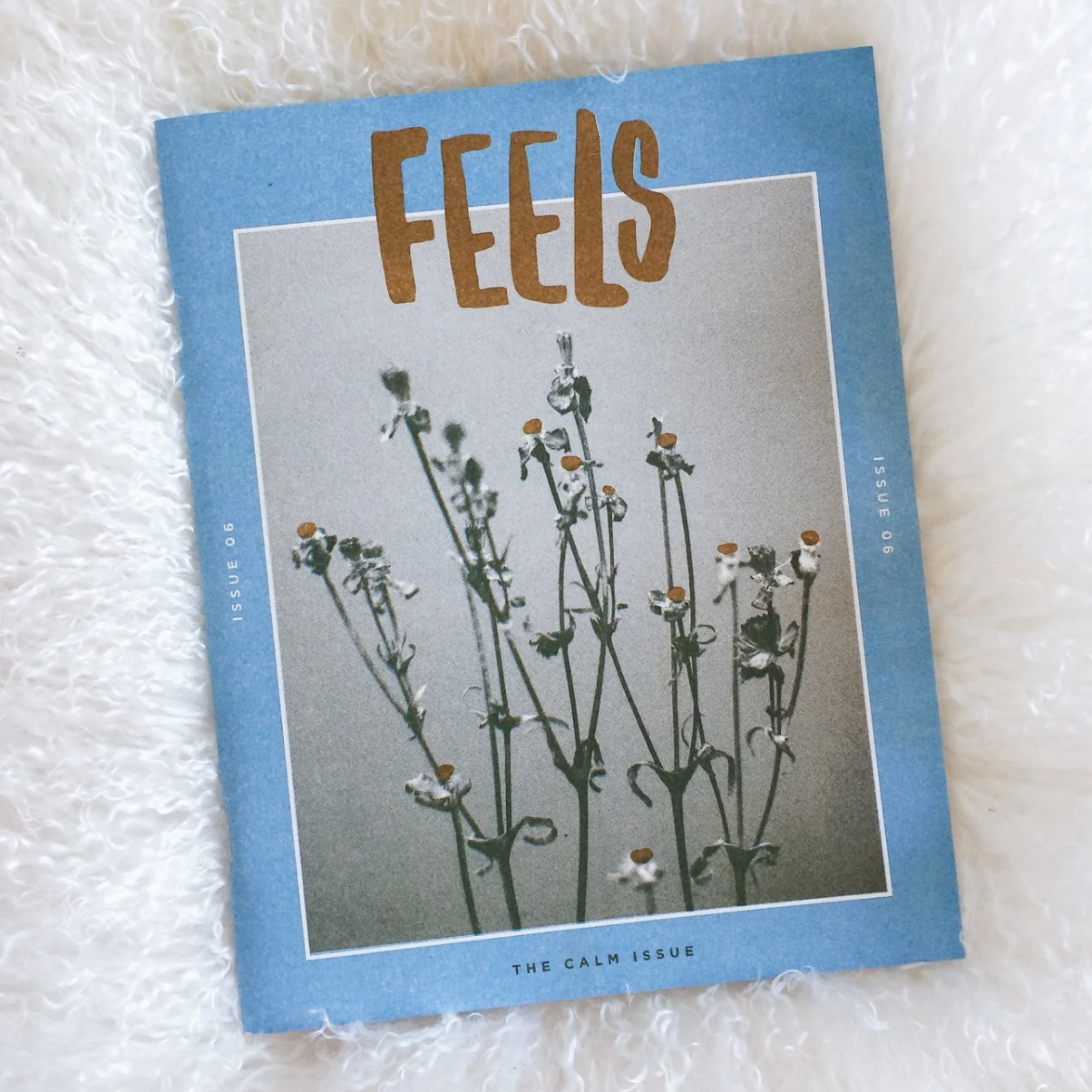 FEELS Zine #6: Calm