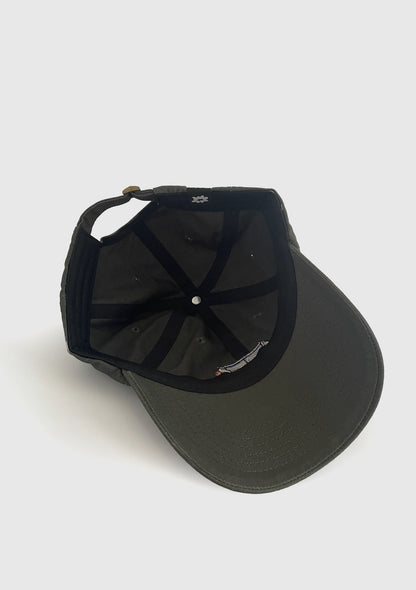 Inside Out Dad Hat