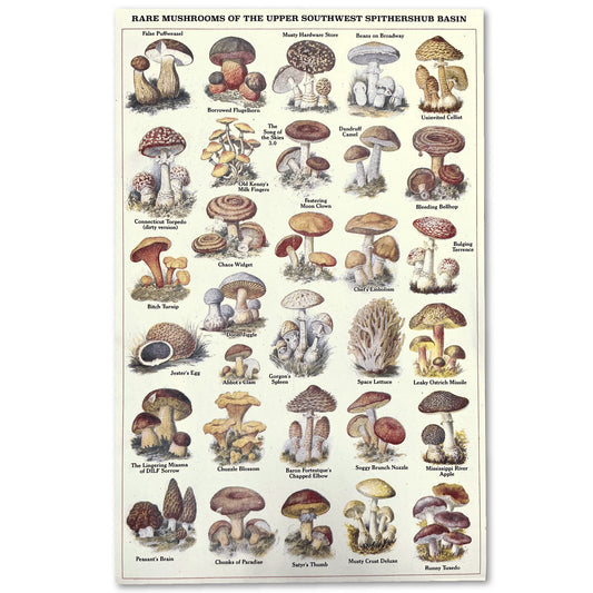 Rare Mushrooms - 11x14 - Risograph Print