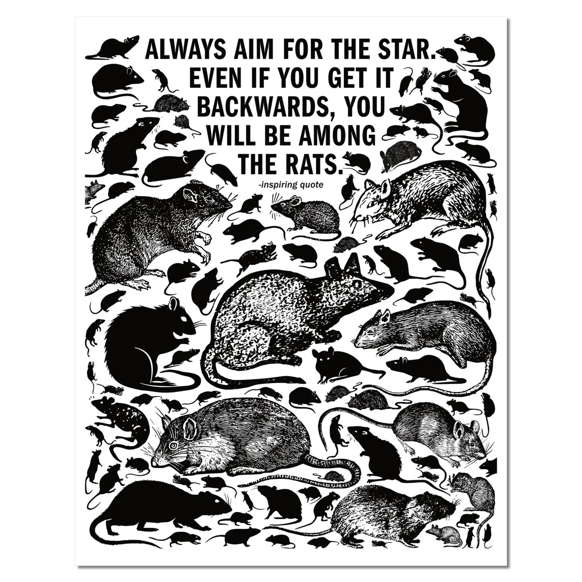 Black Rats Poster the Rats Poster – Secret Planet