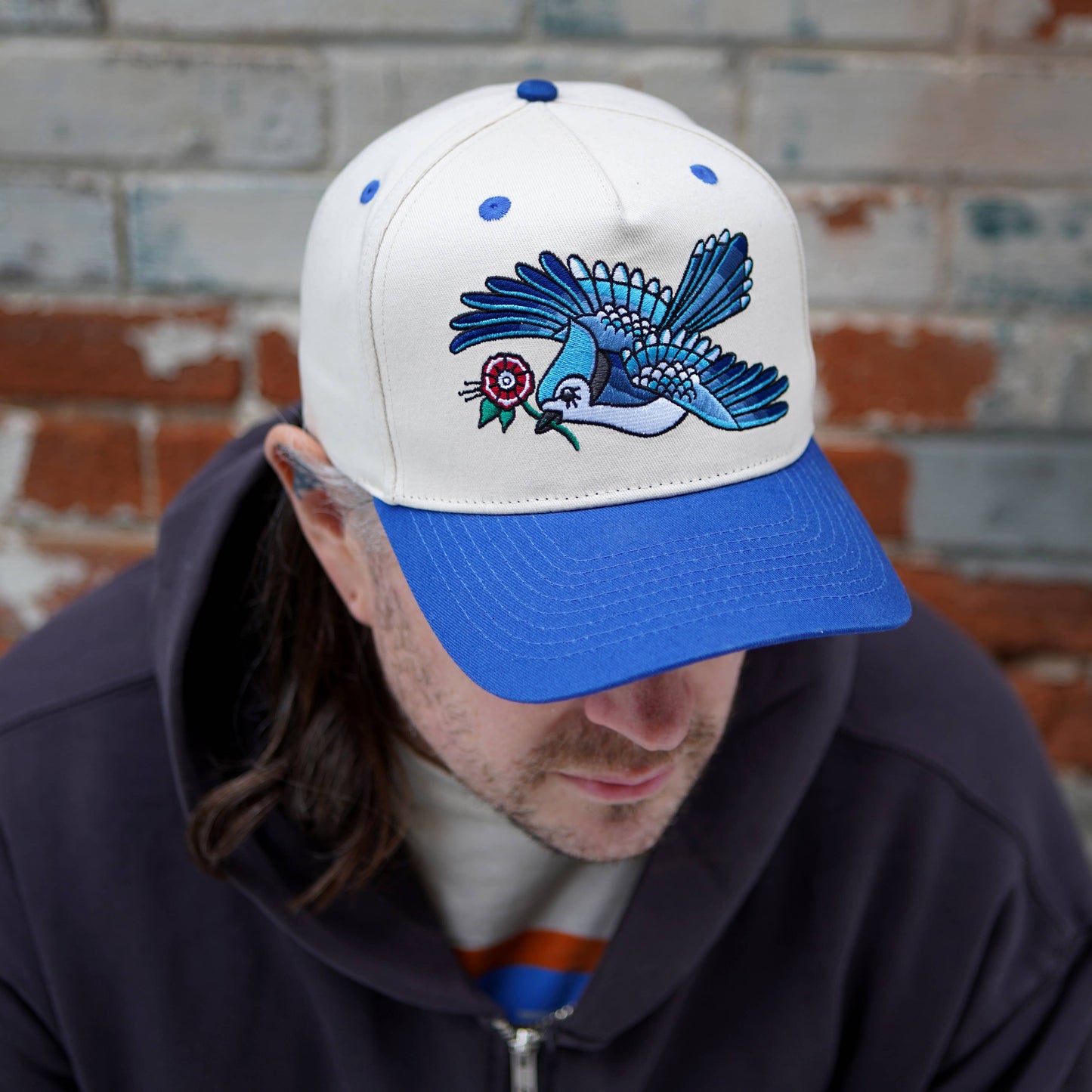 Blue Jay Two-Tone Hat