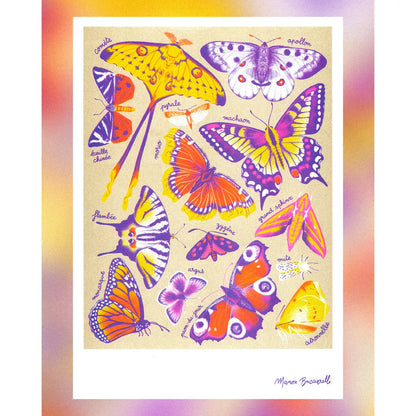 Butterflies (Papillons) by Manon Bucciarelli Risograph A3 Print
