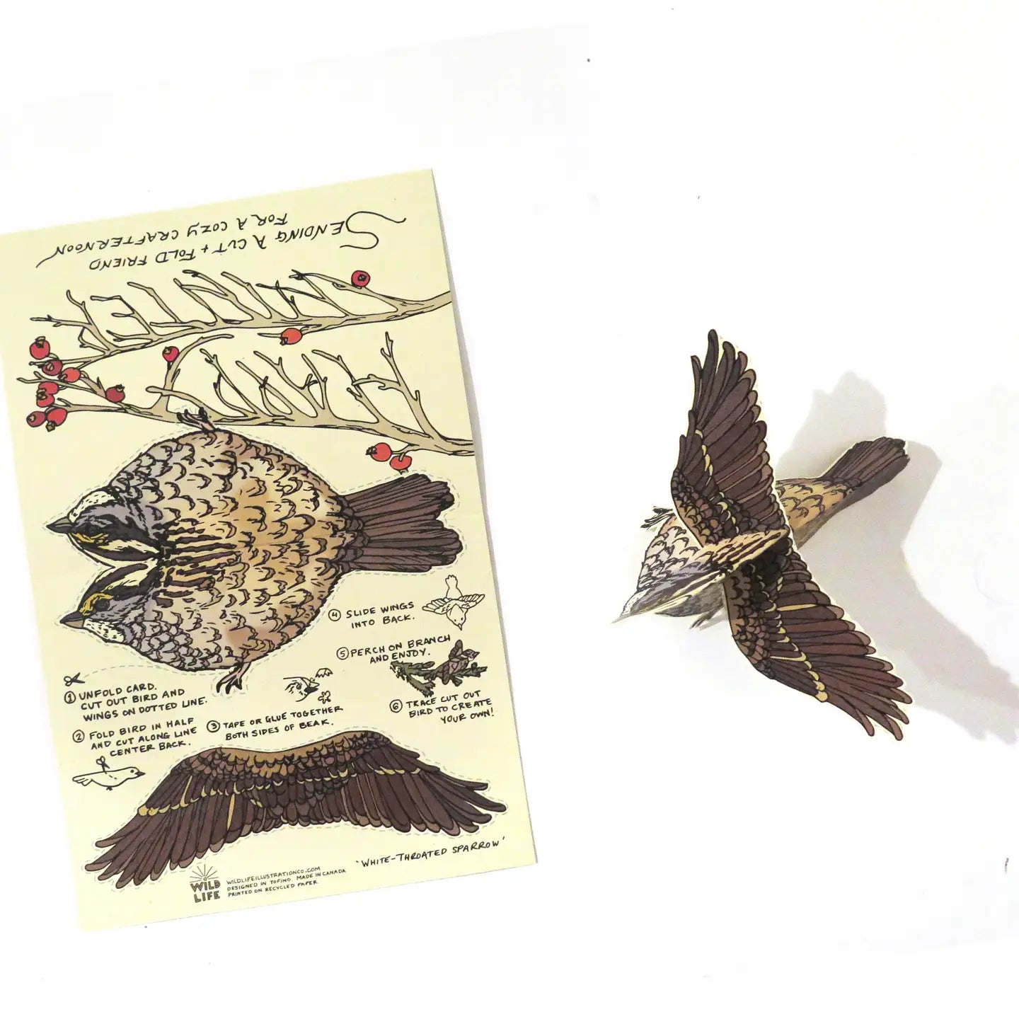 Cut and Fold Craft Card - Sparrow