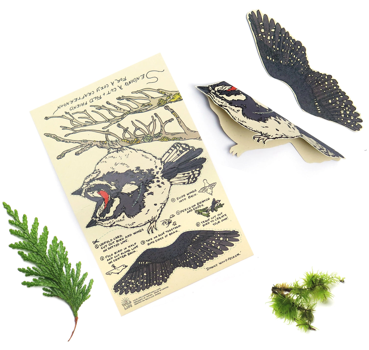 Cut and Fold Craft Card - Woodpecker