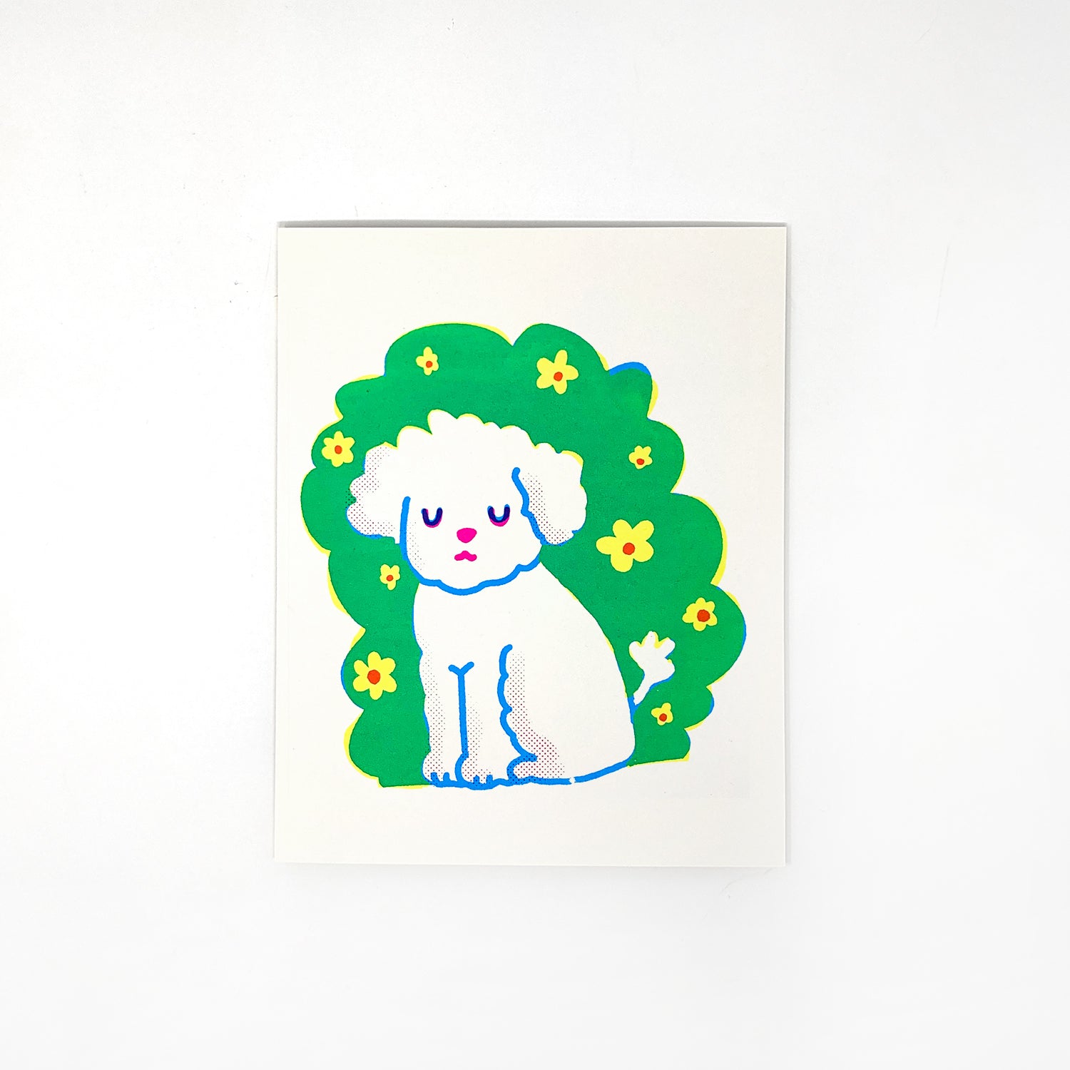 SHOP ALL SECRET PLANET – Page 8 – Secret Planet