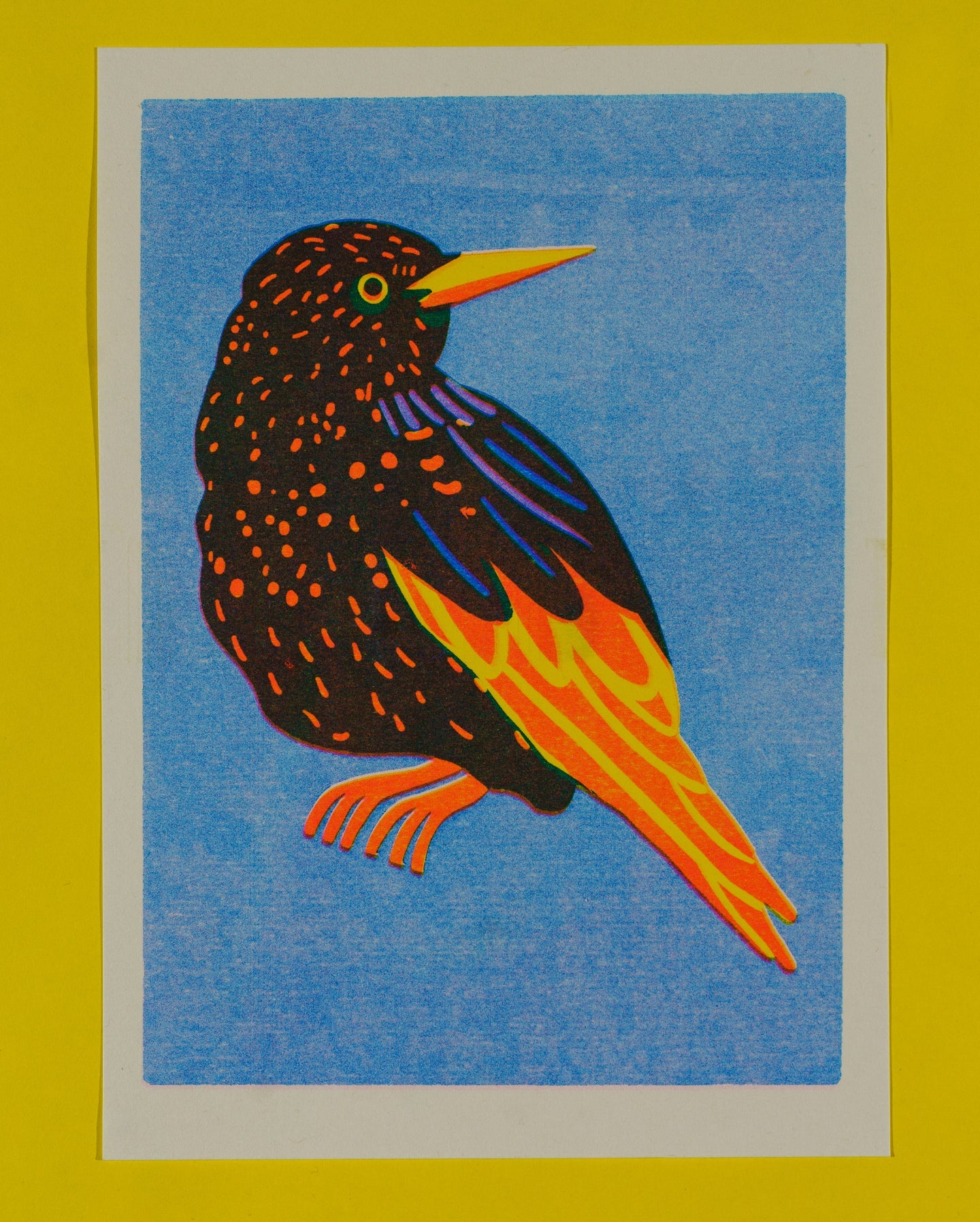 Starling Mini Risograph Print
