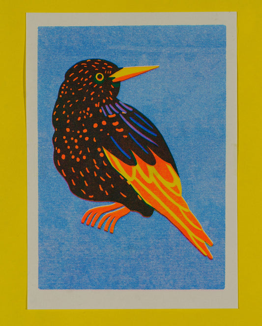 Starling Mini Risograph Print